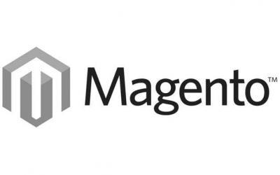 E-parduotuvių kūrimas su Magento sistema